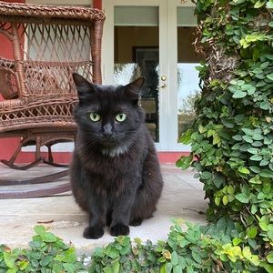 Meet your Posher, Emma